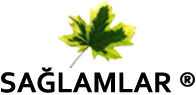 Sağlamlar